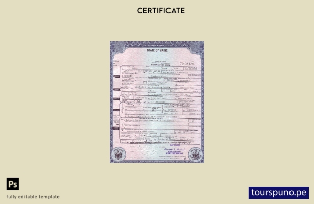 Plantilla de certificado de defunción del estado de Maine de EE. UU. lista para 